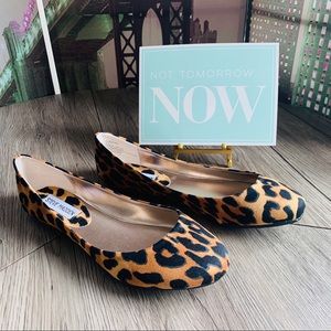 Steve Madden Leopard Ballerina Slipper Flats NEW